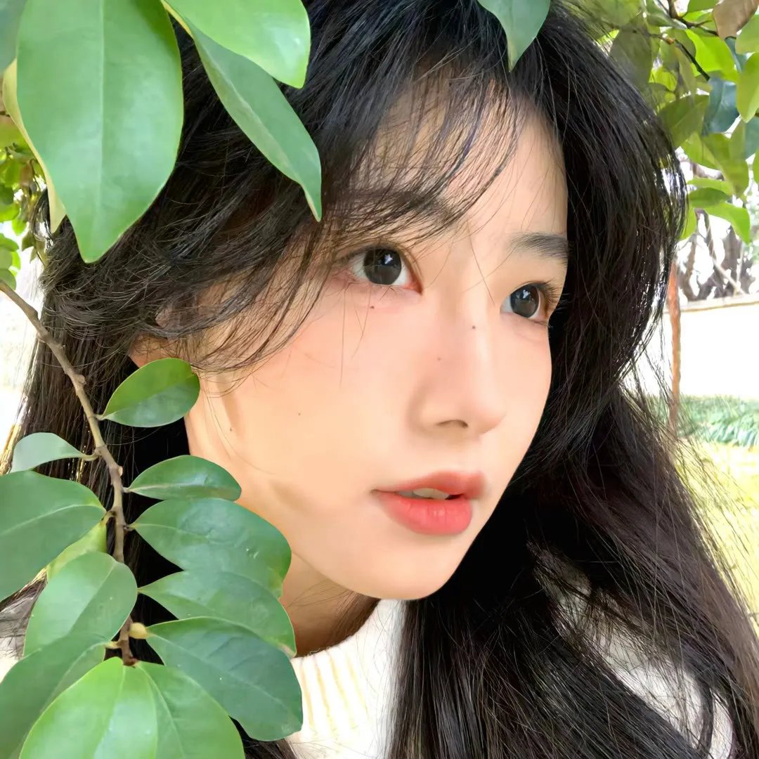 山之王